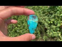 Charger et lire la vidéo dans la visionneuse de la Galerie, Chrysocolle 22