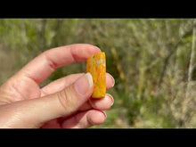 Charger et lire la vidéo dans la visionneuse de la Galerie, Jaspe Bumblebee 31