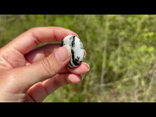 Charger et lire la vidéo dans la visionneuse de la Galerie, Jaspe Zebré 6