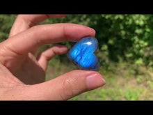 Charger et lire la vidéo dans la visionneuse de la Galerie, Labradorite 261