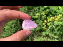 Charger et lire la vidéo dans la visionneuse de la Galerie, Kunzite 10