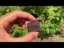 Charger et lire la vidéo dans la visionneuse de la Galerie, Jaspe héliotrope 22