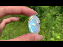 Charger et lire la vidéo dans la visionneuse de la Galerie, Labradorite "blanche" d'Inde 17