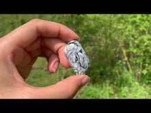 Charger et lire la vidéo dans la visionneuse de la Galerie, Pinolite 15