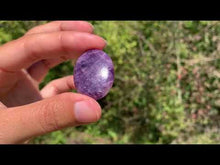 Charger et lire la vidéo dans la visionneuse de la Galerie, Lépidolite 60