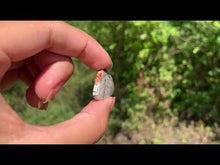 Charger et lire la vidéo dans la visionneuse de la Galerie, Agate Crazy Lace 11