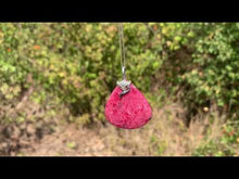 Charger et lire la vidéo dans la visionneuse de la Galerie, Bélière renard