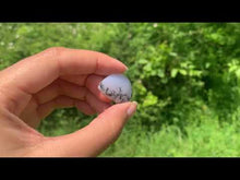 Charger et lire la vidéo dans la visionneuse de la Galerie, Agate dendritique 59