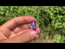 Charger et lire la vidéo dans la visionneuse de la Galerie, Kammererite 21