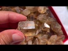 Charger et lire la vidéo dans la visionneuse de la Galerie, Citrine brut 63