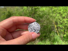 Charger et lire la vidéo dans la visionneuse de la Galerie, Pinolite 14