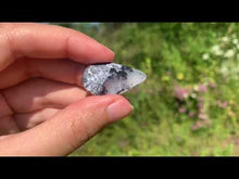 Charger et lire la vidéo dans la visionneuse de la Galerie, Agate dendritique 76