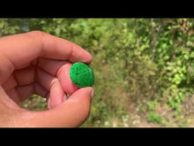 Charger et lire la vidéo dans la visionneuse de la Galerie, Maw-Sit-Sit 13