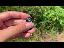 Charger et lire la vidéo dans la visionneuse de la Galerie, Oeil de faucon 8