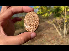 Charger et lire la vidéo dans la visionneuse de la Galerie, Calcite 22