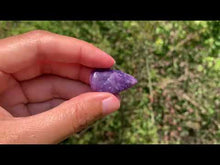 Charger et lire la vidéo dans la visionneuse de la Galerie, Lépidolite 61