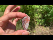 Charger et lire la vidéo dans la visionneuse de la Galerie, VENDU Agate Crazy Lace 18