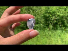 Charger et lire la vidéo dans la visionneuse de la Galerie, Agate dendritique 49