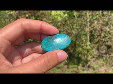 Charger et lire la vidéo dans la visionneuse de la Galerie, Chrysocolle 4