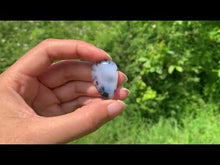 Charger et lire la vidéo dans la visionneuse de la Galerie, VENDU Agate dendritique 58