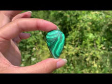 Charger et lire la vidéo dans la visionneuse de la Galerie, Malachite 43