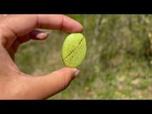 Charger et lire la vidéo dans la visionneuse de la Galerie, Opale Commune Verte 10