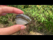 Charger et lire la vidéo dans la visionneuse de la Galerie, Agate du Montana 3