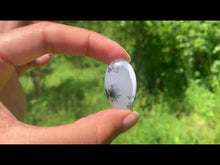 Charger et lire la vidéo dans la visionneuse de la Galerie, VENDU Agate dendritique 41