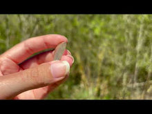 Charger et lire la vidéo dans la visionneuse de la Galerie, Quartz à Actinolite 7