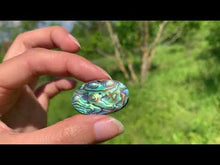 Charger et lire la vidéo dans la visionneuse de la Galerie, Abalone 67
