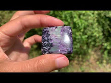 Charger et lire la vidéo dans la visionneuse de la Galerie, Kammererite 10