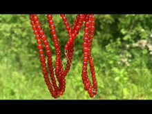 Charger et lire la vidéo dans la visionneuse de la Galerie, Perles en cornaline / agate rouge entre 4 et 14mm CAT