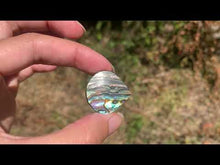 Charger et lire la vidéo dans la visionneuse de la Galerie, VENDU Abalone 43