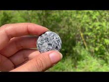 Charger et lire la vidéo dans la visionneuse de la Galerie, Pinolite 12