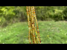 Charger et lire la vidéo dans la visionneuse de la Galerie, Perles en ambre, couleur jaune, 4,5mm
