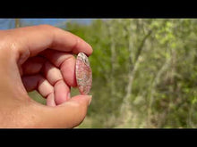 Charger et lire la vidéo dans la visionneuse de la Galerie, Jaspe Léopard 2