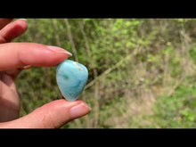 Charger et lire la vidéo dans la visionneuse de la Galerie, Larimar 17