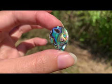 Charger et lire la vidéo dans la visionneuse de la Galerie, VENDU Abalone 37
