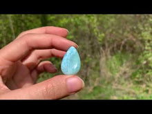 Charger et lire la vidéo dans la visionneuse de la Galerie, Larimar 30