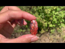 Charger et lire la vidéo dans la visionneuse de la Galerie, VENDU Agate Crazy Lace 25