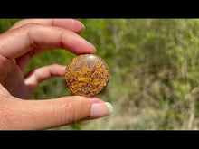 Charger et lire la vidéo dans la visionneuse de la Galerie, Jaspe Mariam 20