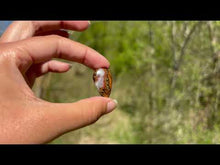 Charger et lire la vidéo dans la visionneuse de la Galerie, Agate Seam 2