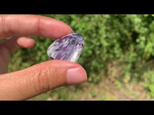 Charger et lire la vidéo dans la visionneuse de la Galerie, Kammererite 22