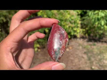 Charger et lire la vidéo dans la visionneuse de la Galerie, Jaspe héliotrope 17