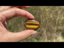 Charger et lire la vidéo dans la visionneuse de la Galerie, Oeil de tigre 85