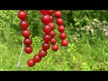 Charger et lire la vidéo dans la visionneuse de la Galerie, Perles en cornaline / agate rouge entre 4 et 14mm CAT