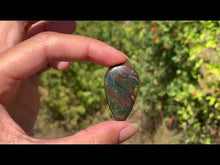 Charger et lire la vidéo dans la visionneuse de la Galerie, Jaspe héliotrope 27