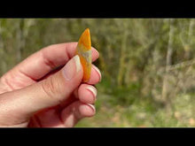 Charger et lire la vidéo dans la visionneuse de la Galerie, Jaspe Bumblebee 36