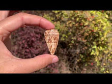 Charger et lire la vidéo dans la visionneuse de la Galerie, Calcite 6