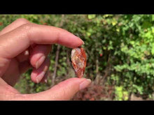 Charger et lire la vidéo dans la visionneuse de la Galerie, VENDU Agate Crazy Lace 31